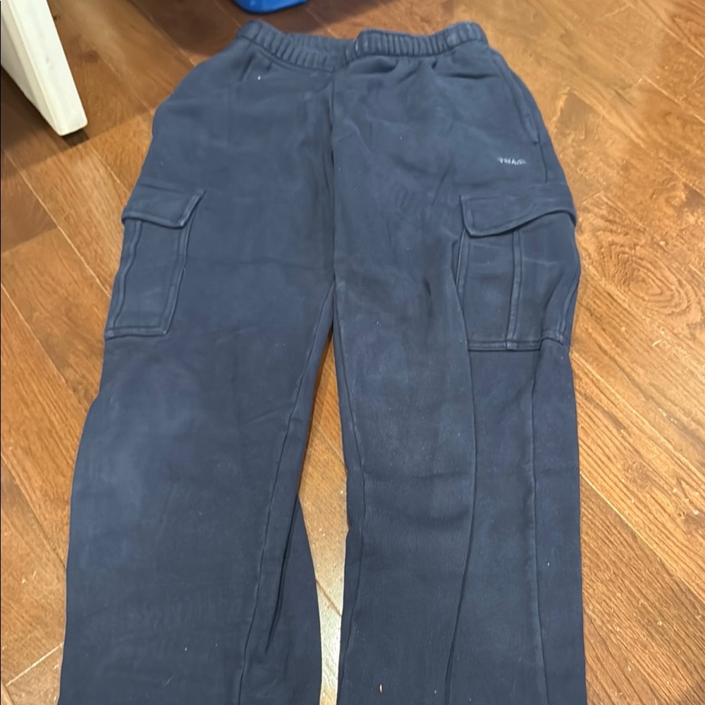 Aritiza navy cargo sweats